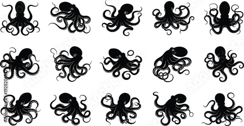 octopus, silhouette, marine, animal, sea, ocean, tentacles, underwater, wildlife, aquatic, black, isolated, set, collection, illustration, vector, design, nature, cephalopod, nautical, graphic, clipar