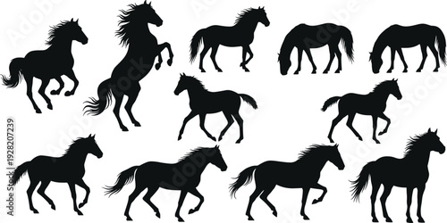 Running and standing horse silhouettes collection showing different poses wild animal movement isolated black shapes for nature themed design illustration vector