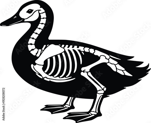 Duck Skeleton Silhouette Black and White Vector Illustration