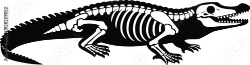 Crocodile Skeleton Silhouette Black and White Vector Illustration