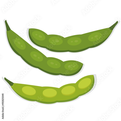 Green soybean pods vector drawing.