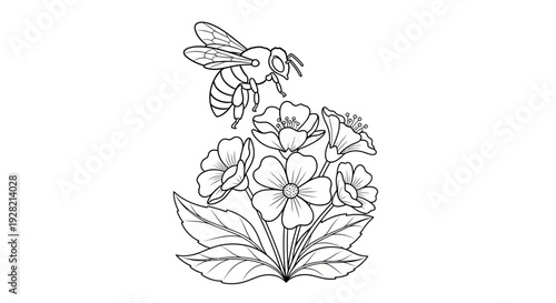 Detailed Line Drawing of a Bee Hovering Above a Cluster of Flowers