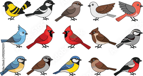 Set of common garden bird vector illustrations featuring cardinal blue jay sparrow and finch species in various natural poses on white background