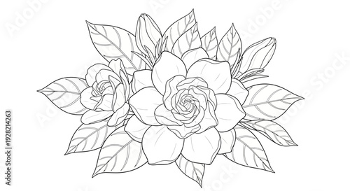 Elegant Black and White Flower Illustration Print for Artistic or Educational Use
