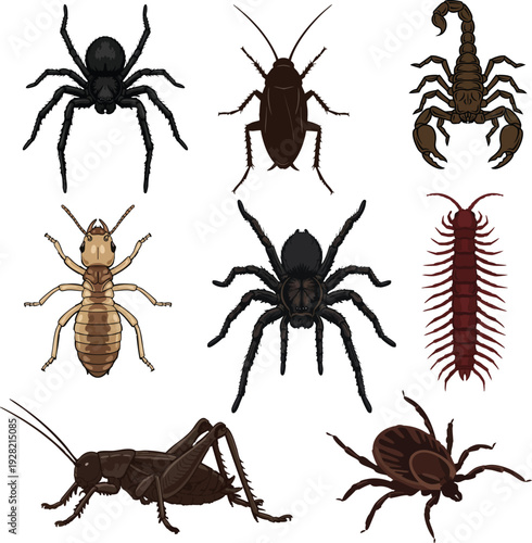 Insects and Spiders Vector Bundle: Realistic Bug and Pest Illustration Set