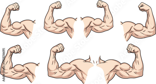 Set of strong muscular arm vector illustrations with flexed biceps showing power and fitness for gym bodybuilding and sports health design