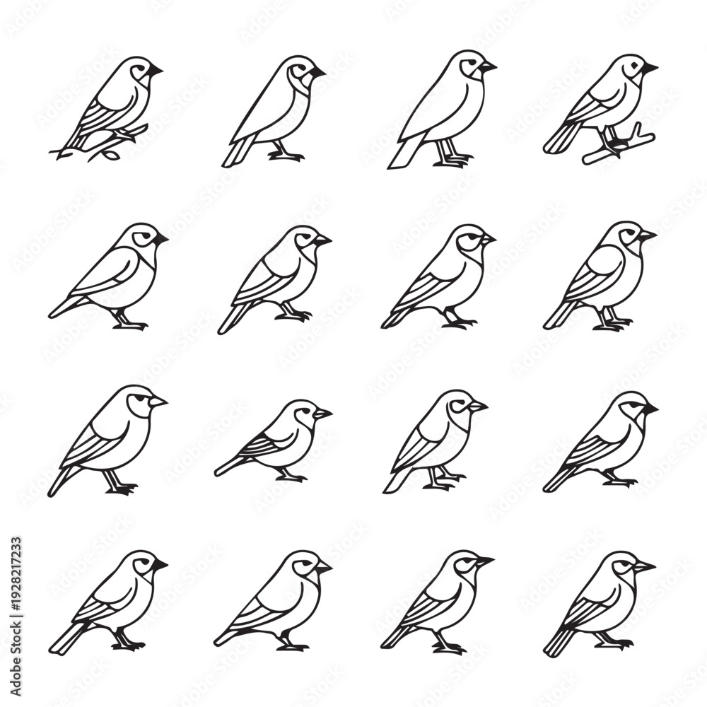 Fototapeta premium Collection of 16 Bird Line Art Illustrations Posed Differently on White Background