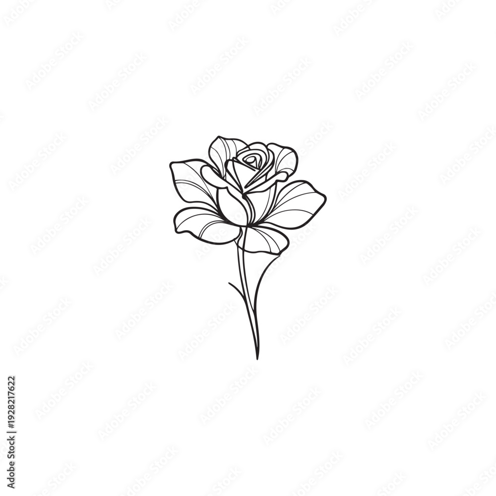 Obraz premium Minimalist Rose Line Art Illustration Isolated on White Background