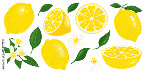 A vibrant illustration of whole and sliced lemons with blossoms and leaves