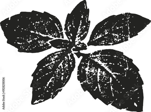 mint leaves illustration in black and white, fresh aromatic herb design with textured detail