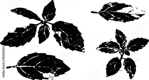 black silhouette leaf set with various shapes, isolated botanical elements for design and decoration