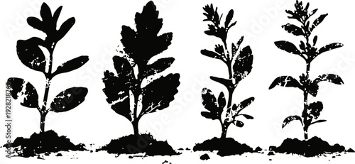 four black botanical silhouettes of plants growing in soil on white background