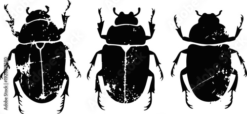 Three black silhouette beetles isolated on white background with detailed legs and antennae