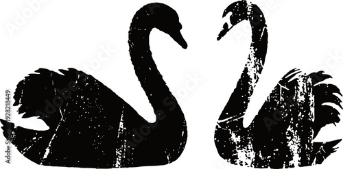 Two black swans facing each other with elegant curved necks and detailed feathers silhouette