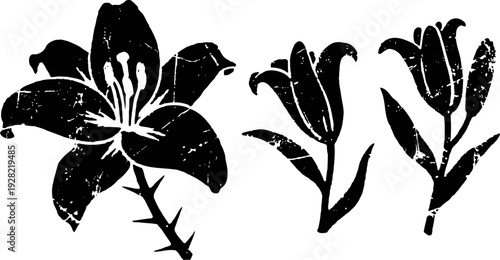 Black and white lily flower silhouettes with stems and leaves isolated on white background