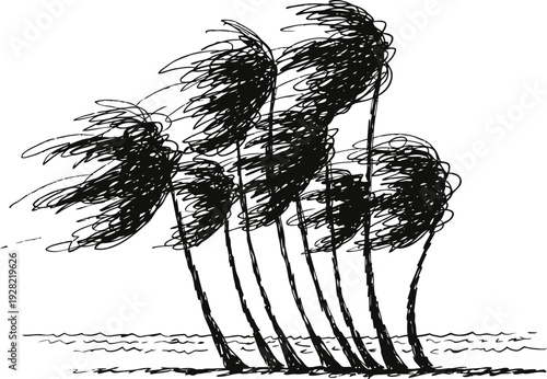 windswept palm trees bending with forceful sea breeze on coastal shoreline sketch