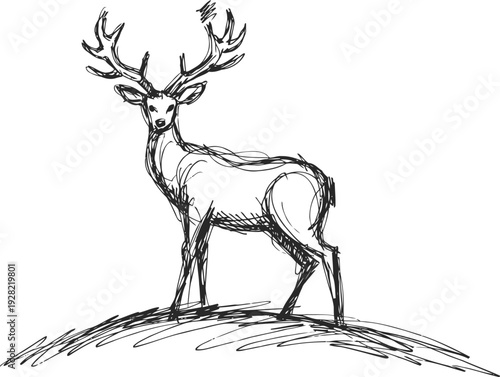 hand drawn deer standing on a hill with large antlers in sketch outline