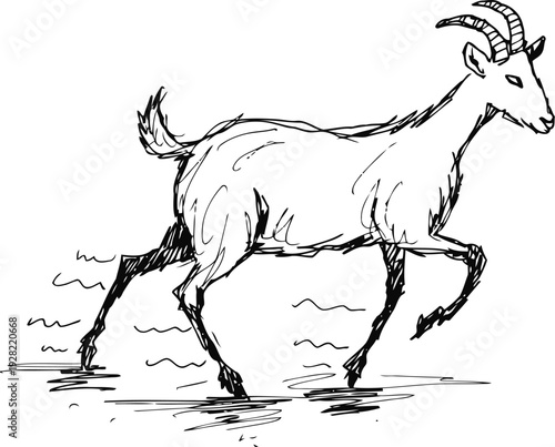 Sketch of a goat walking with raised front leg and curved horns in simple black line art