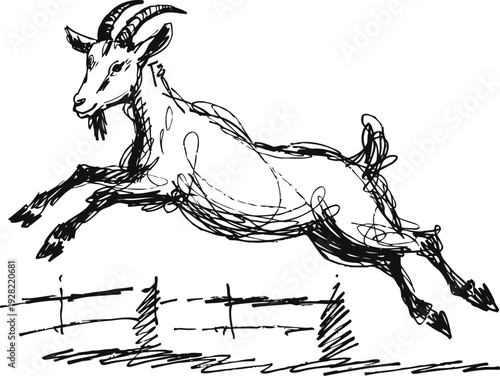Sketch of a goat jumping over a fence, hand drawn wild animal in motion, black ink line art illustration