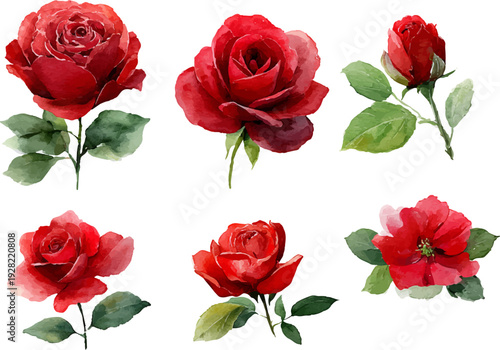 Wallpaper Mural set of roses Torontodigital.ca