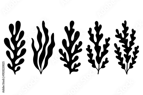 Seaweed silhouettes set of five marine algae clipart for coastal design