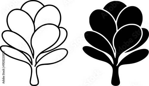 Black and white paddle plant illustration set : outline and silhouette icons