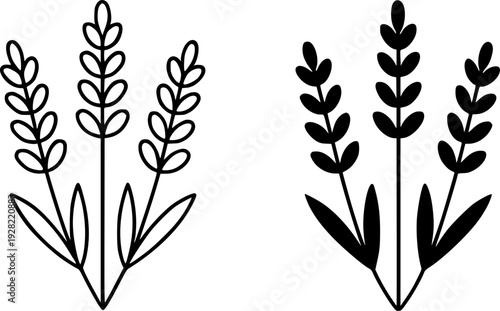 Black and white minimalist lavender illustration set : outline and silhouette icons