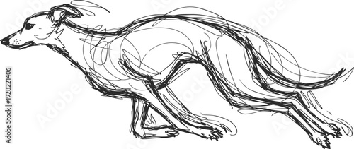 dynamic sketch of a running greyhound dog in motion with fluid black lines