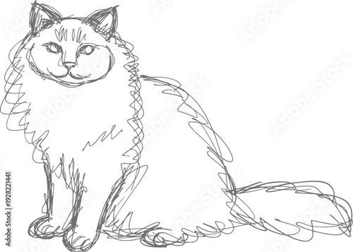 Fluffy cat sketch sitting with calm expression and detailed furry tail