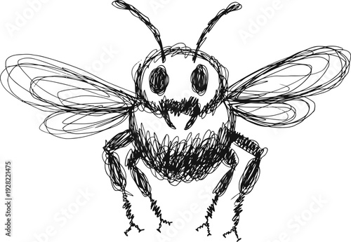 Detailed hand drawn bee illustration with intricate wings and fuzzy body, sketch insect drawing