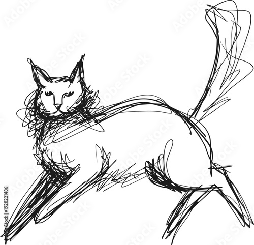 Sketch of a cat standing with raised tail and alert expression in dynamic pose line art