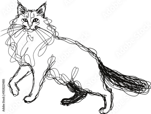 sketch of a long haired cat walking with detailed whiskers and fluffy tail line art