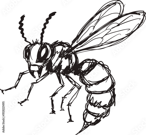 Hand drawn wasp insect illustration, black ink sketch, flying bug with segmented body and transparent wings
