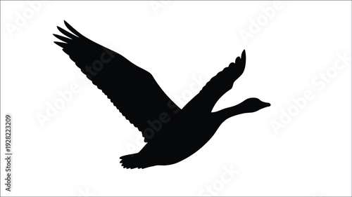 A black silhouette of a flying goose in mid air silhouette