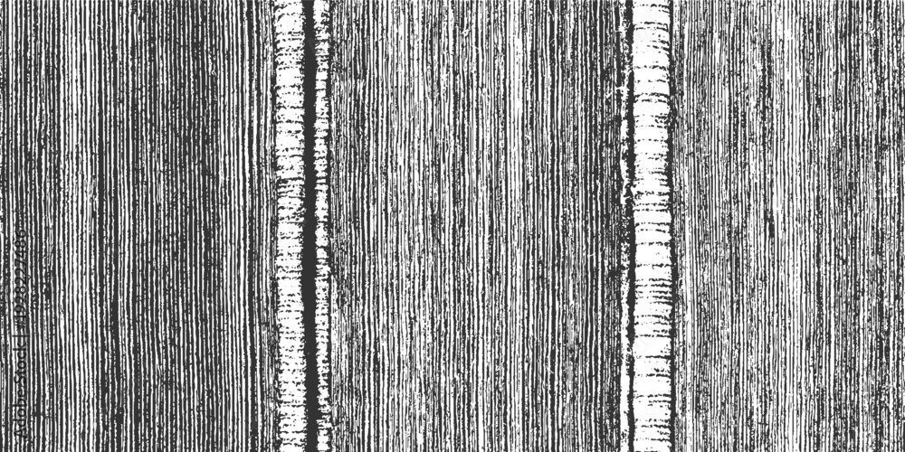 Fototapeta premium Black and white textured vertical lines with two prominent white striped columns abstract background