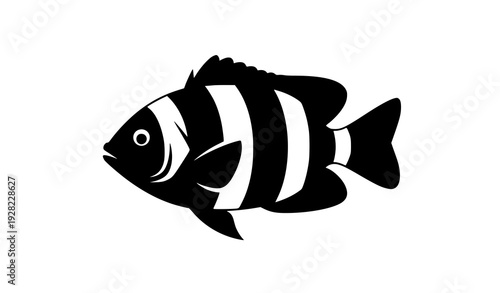 Banded rainbow fish silhouette vector illustration isolated on transparent background