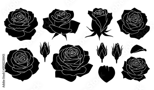 Rose flower silhouette set black and white floral vector isolated on transparent background