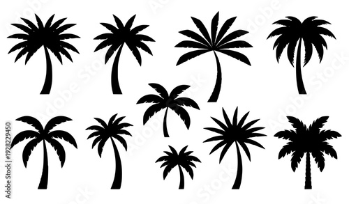 Abstract tropical palm silhouettes monochrome botanical vector set isolated on transparent background