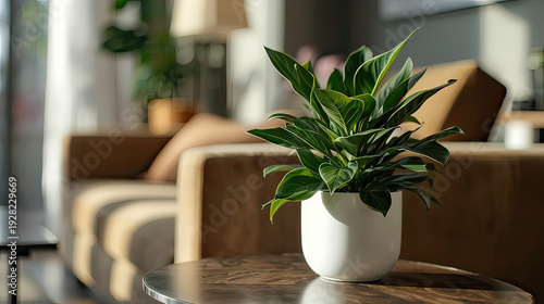 Lush green plant in modern living room with brown sofa