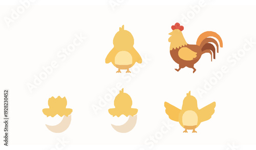 Flat style chicken and chick character icon set farm vector pack