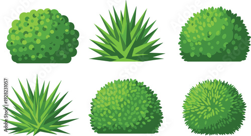 Collection of green garden bushes and spiky ornamental plants isolated on white background landscaping vector illustration set