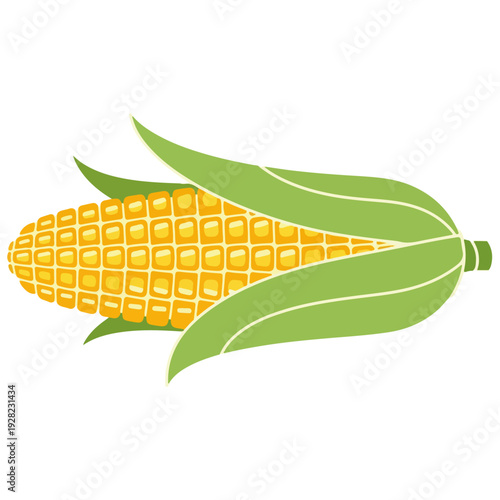 Corn Cob Illustration Vector Graphic Design