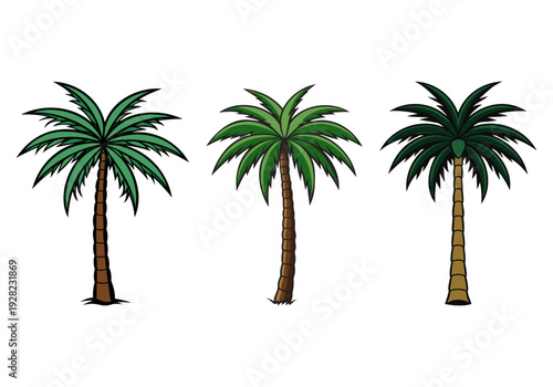 Three palm trees with different green leaves and brown trunks
