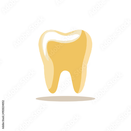 Flat Tooth Illustration with Shadow Vector Graphic
