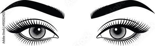 Woman Eyes with Long Eyelashes and Eyebrows, Female Glamour Look Illustration, Beauty Makeup Line Art, Monochrome Fashion Design