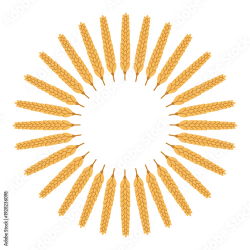 Round flat frame made of wheat grain ears. Rye or barley spikelets in the cereal crop wreath. Ring agricultural border in the shape of circle for autumn harvest design