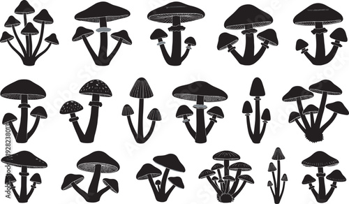 Mushroom silhouettes set with wild forest fungi collection, botanical nature vector illustration