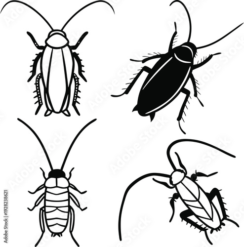 collection of insects