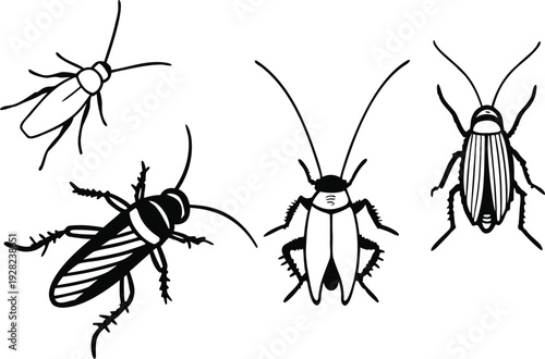 set of insects vector