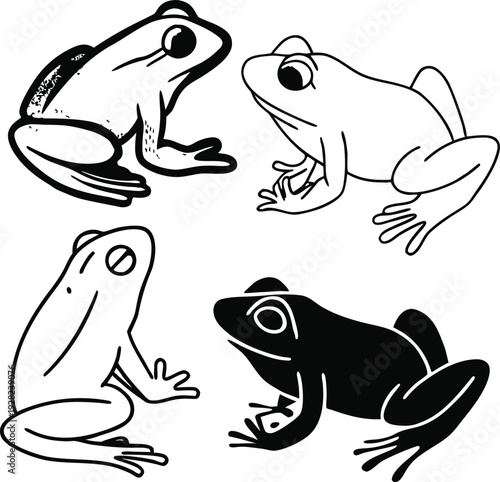 frog on a white background